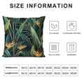 thumbnail image 5 of SHERONV Bird of Paradise Graphic Decorative Throw Pillow Cover for Home Couch Living Room Bed Sofa - Aesthetic Design, Pilling Resistance, 1PC 24x24in, 5 of 5