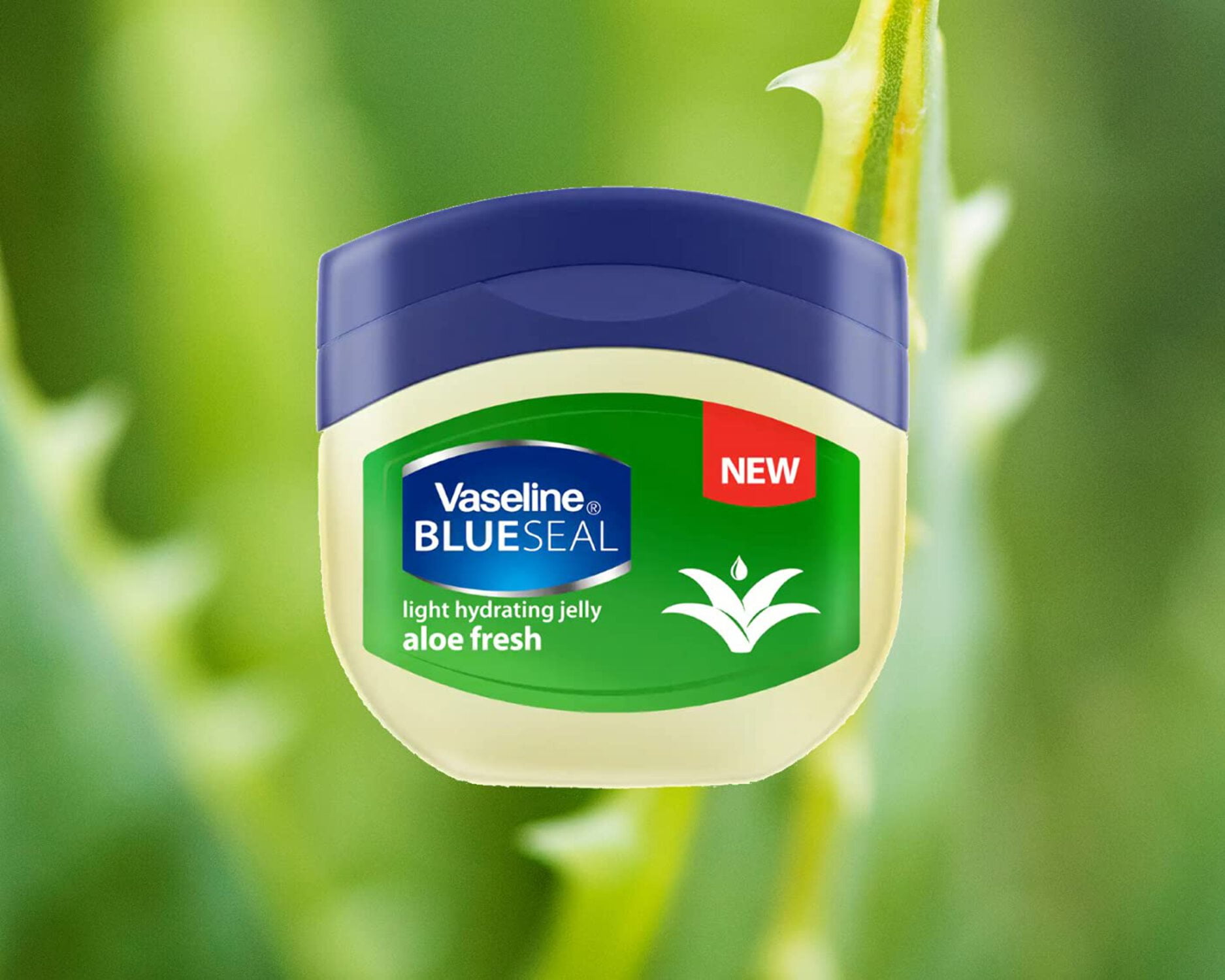 Vaseline Blue Seal Aloe Fresh Light Hydrating Jelly, 250mL, Moisturizer for  Healthy Skin - Walmart.com