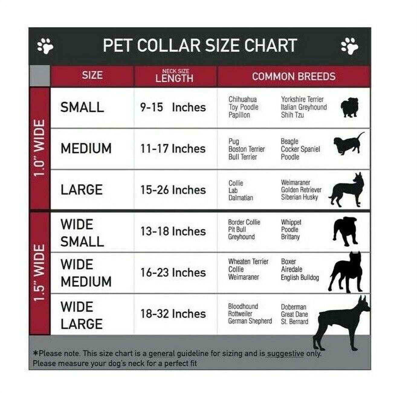 Marvel Comics Pet Collar, Dog Collar Metal Seatbelt Buckle, Marvel Avengers Superhero Poses Close Up, 9.5 to 13 Inches 1.0 Inch Wide
