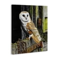 thumbnail image 2 of Stupell Industries Farmhouse Owl Perched on Barn Door Canvas Art, 16 x 20, by Steve Burgess, 2 of 7
