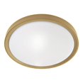 thumbnail image 1 of Dainolite Frida 1-Light 30W Acrylic Plastic Flush Mount Light in White/Brass, 1 of 1