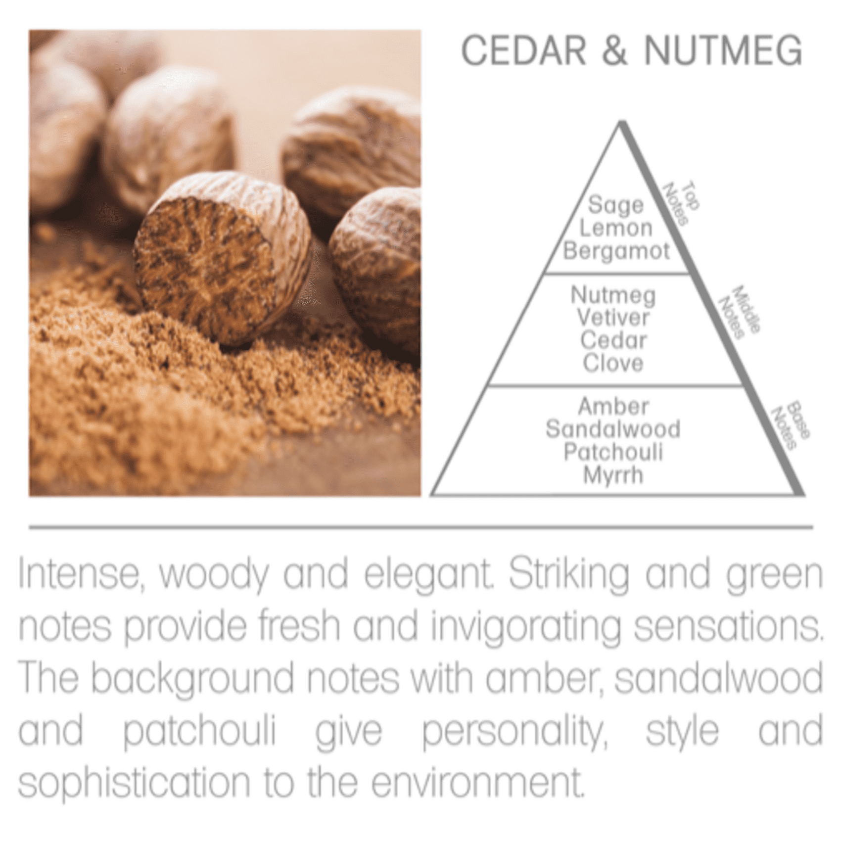 Acqua Aroma Premium Silver Reed Diffuser Oil Refill Cedarwood & Nutmeg 16.9FL OZ (500mL)