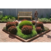 Bird B Gone Hawk Decoy Bird Deterrent