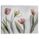 thumbnail image 1 of Cuadros Decorativos Jr Tulipani Canvas, 1 of 1