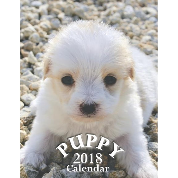 Puppy 2018 Calendar (Paperback)