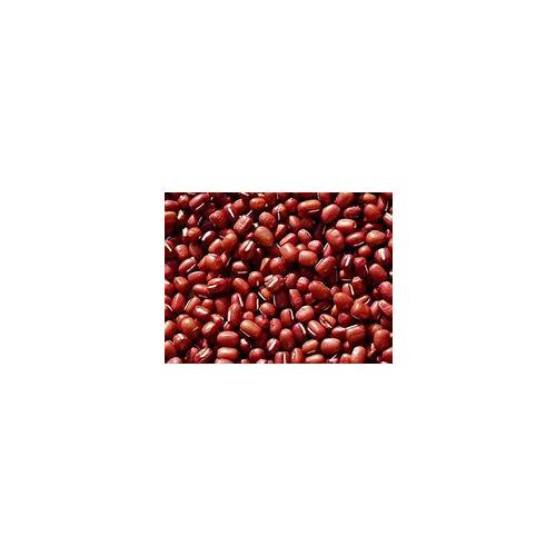 Bean Small Red Great Heirloom Garden Vegetable By Seed Kingdom BULK 1