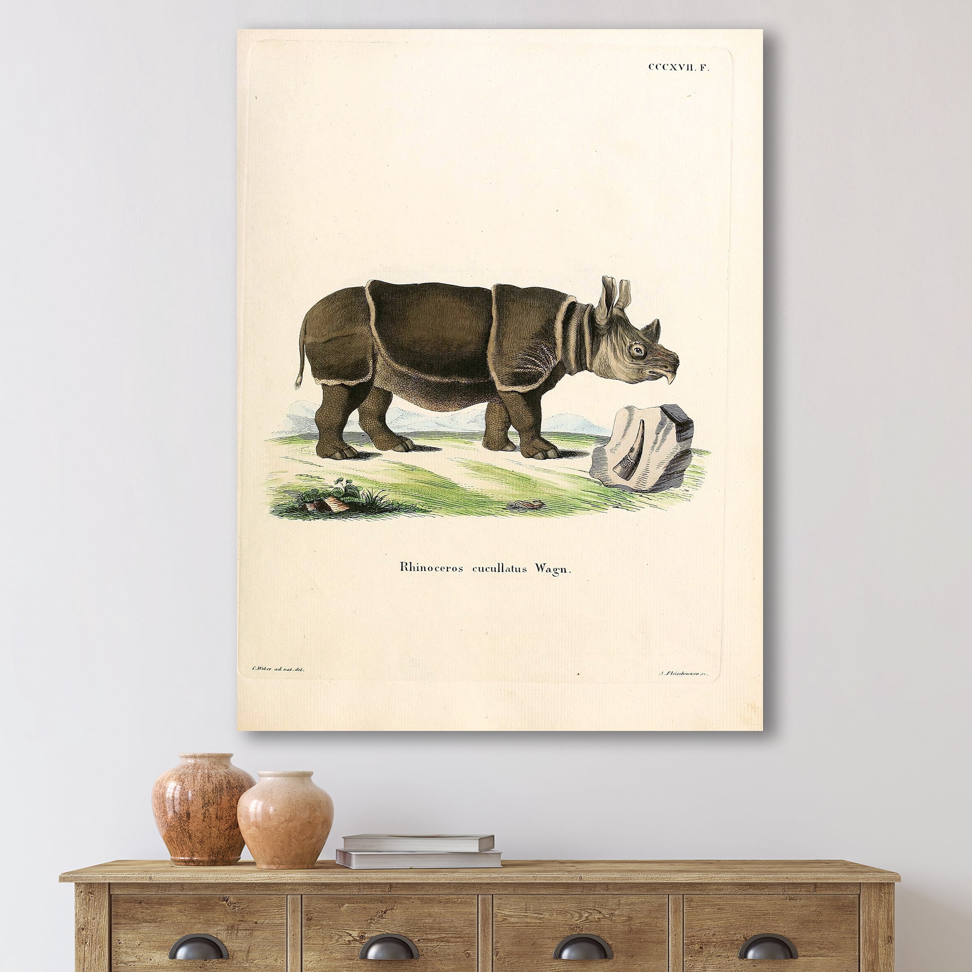 Designart ' Ancient Rhinoceros ' Farmhouse Canvas Wall Art Print