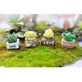 thumbnail image 2 of Lifelike Mini Artificial Fleshy Cactus Plant Decorative, 2 of 9