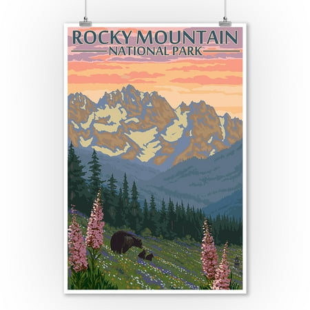 Rocky Mountain National Park, Colorado - Bear and Cubs with Flowers - Lantern Press Artwork (9x12 Art Print, Wall Decor Travel