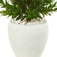 thumbnail image 3 of Nearly Natural 3.5' Olive Cone Artificial Topiary in Planter UV Resistant, 3 of 3