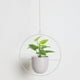thumbnail image 3 of Jardinera de Pared Y tejado - Soporte de Planta de Maceta Colgante para Pared Y tejado, para Plantas , Plantas Suculentas, Plantas de Aire, C Ronda de, 3 of 8