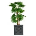 thumbnail image 1 of 54" Tall Fan Palm Tree Artificial Indoor/ Outdoor Décor Faux Burlap Kit and Fiberstone Planter By Minx NY, 1 of 4