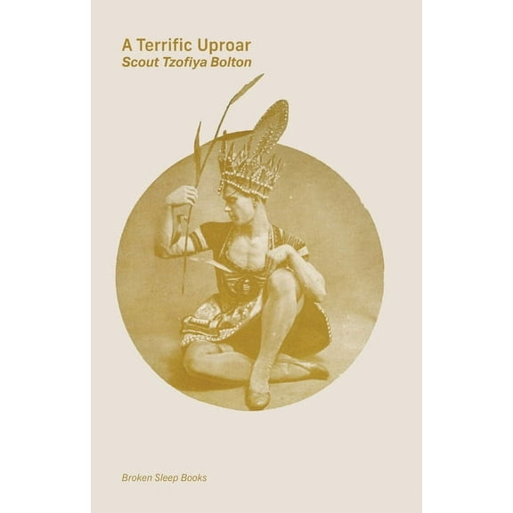 A Terrific Uproar (Paperback)