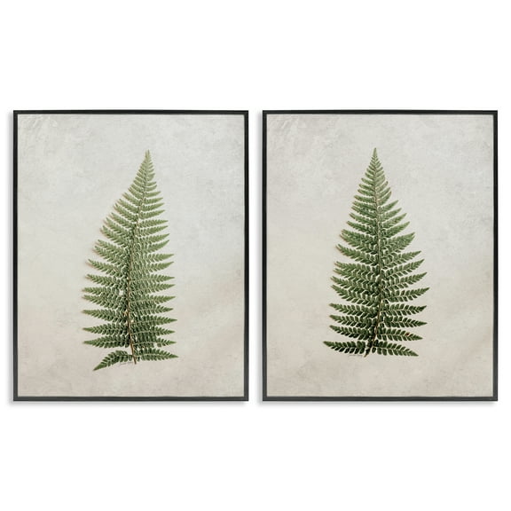 Stupell Industries Realistic Fern Leaves Plants & Flowers Painting Black Framed Art Print Wall Art, 11 x 14, Set of 2