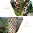 thumbnail image 3 of BRIGHTFUFU 1Jgo Accesorio Malla Para De Musgo Para Plantas Con Resistencia Y Flexibilidad, 3 of 8