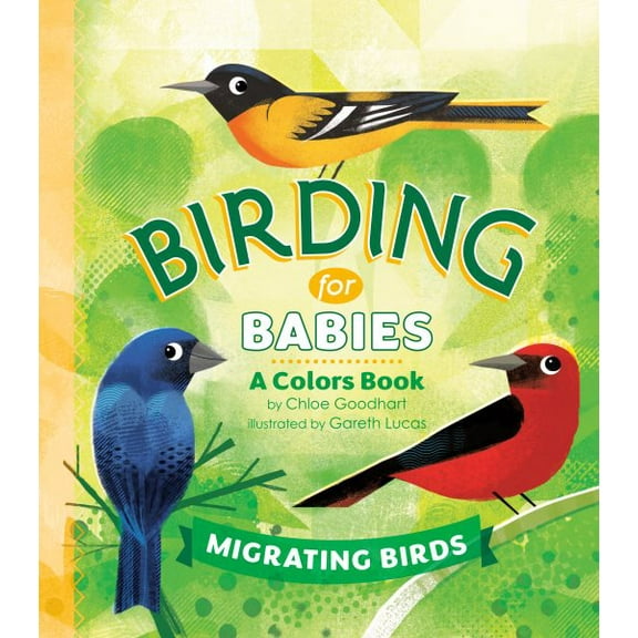 Pre-Owned Birding for Babies: Migrating Birds: A Colors Book, (Board Book)