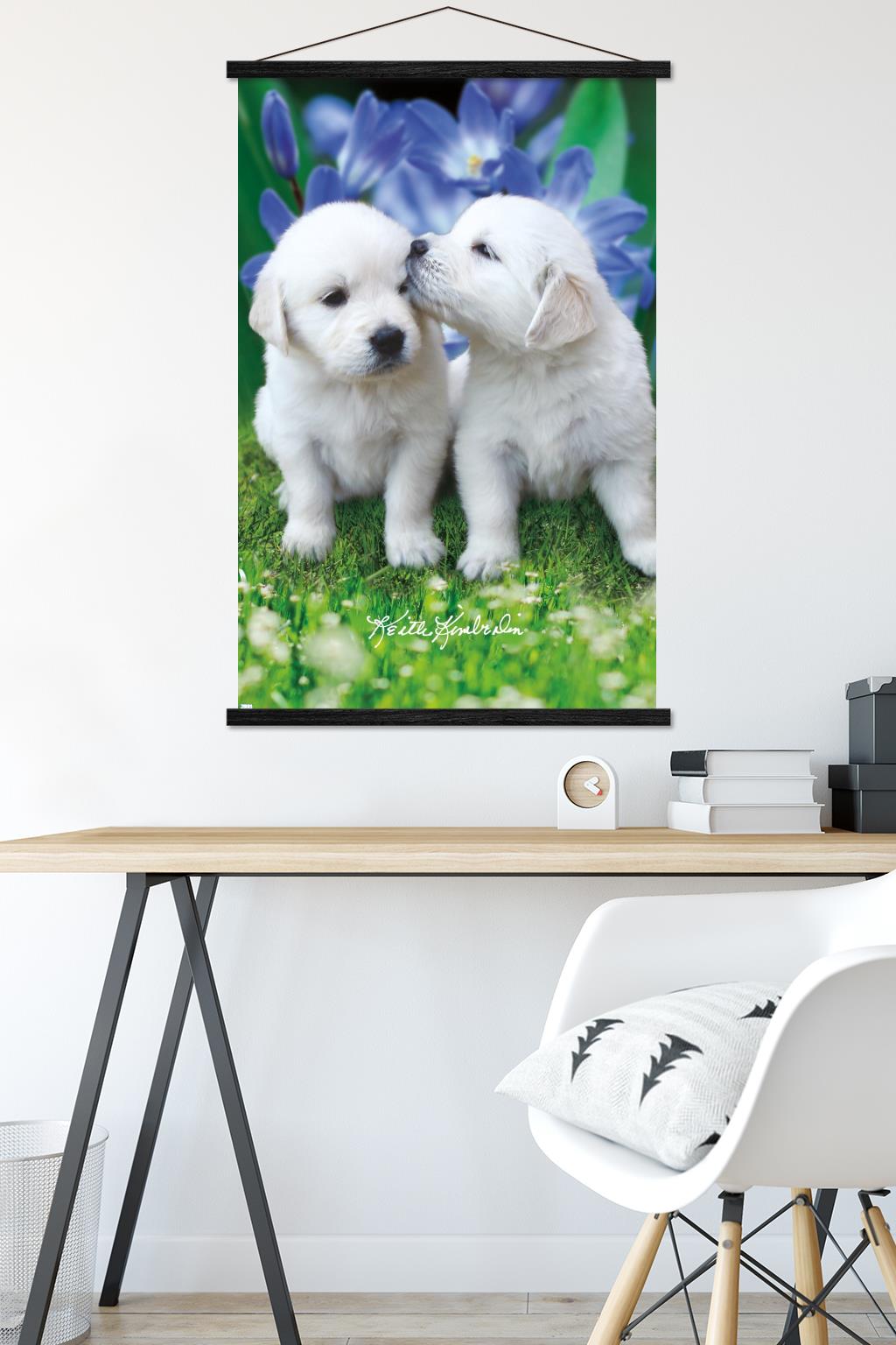 Keith Kimberlin - White Golden Retriever Puppies Wall Poster with Wooden Magnetic Frame, 22.375" x 34"
