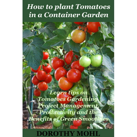 How to Plant Tomatoes in a Container Garden - (Best Tomatoes For Container Gardening)