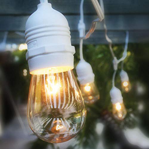 Outdoor Edison Lights