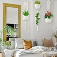 thumbnail image 3 of Macrame Plant Hangers, 6Pack Hanging Planters for Indoor Plants w/ 6 Set Hangers Kit Handmade Macromay Plant Hangers Indoor Flower Pots Holder Stand for Boho Home Décor (POTS NOT Included), 3 of 14