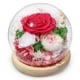 thumbnail image 1 of Rosa preservada FIACO Forever Fresh Flowers en cúpula de cristal, 1 of 7