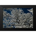 thumbnail image 2 of Moon, Katia 24x17 Black Modern Framed Museum Art Print Titled - Snow In The Forest, 2 of 5