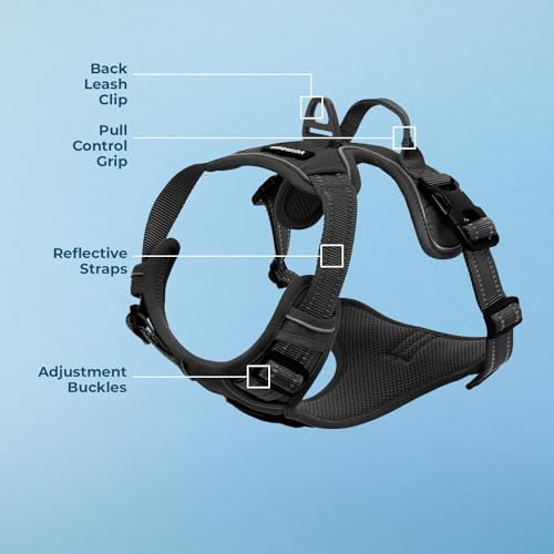Voyager Dog Harness Dual Leash Attachment No-Pull Control Adjustable Soft But Strong Pet Harness For Medium And Large Dogs With 3M Reflective Technology - Black, S (Chest: 16 - 20")