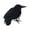 Black, variant on 3-Pack Realistic Halloween Crows - Black Feathered Ravens for Halloween Decorations Scarecrow Displays