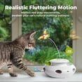 thumbnail image 3 of Juguete interactivo para gatos Butterfly Flutter, TODO PARA PATAS, 3 en 1, 3 of 9