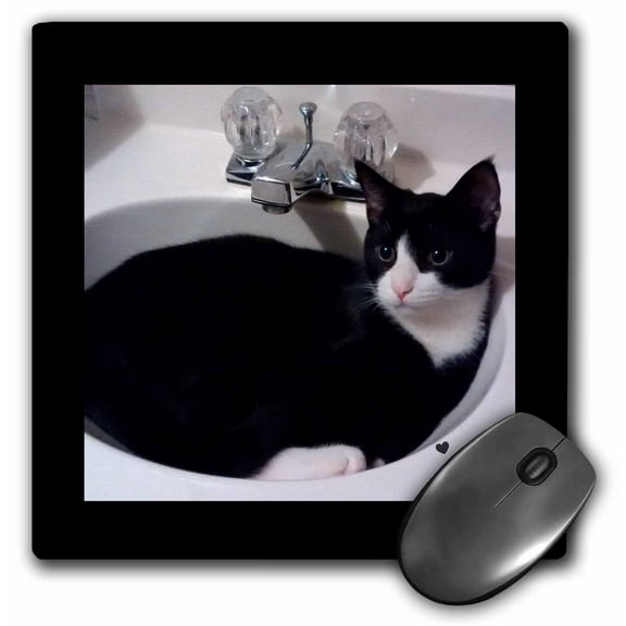3dRose, Cute Cat Lovers Black White Tux Cat Curled up in Sink, MousePad