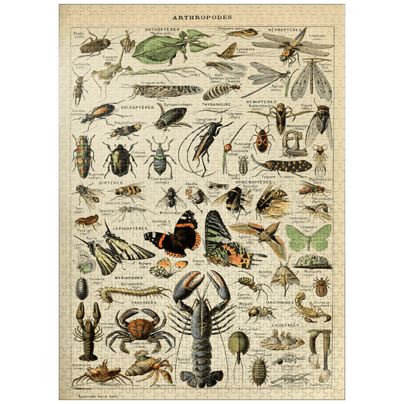 MyPuzzle - Arthropoda For All, Vintage Art Poster, Adolphe Millot - Premium 1000 Piece Jigsaw Puzzle for Adults