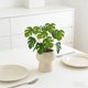 thumbnail image 4 of Artificial Bonsai Simulated Flowers Fake Green Plant Small Potted Floral Arrangement Desktop Decoration Handheld Wedding Bouquet Photography Prop, 4 of 5