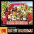 thumbnail image 3 of Kodak 1000 piece Puzzle Stowaways, 3 of 5