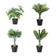 thumbnail image 4 of Cateissary Árbol tropical falso verde con bajo mantenimiento y hoja de imitación ecológica para interiores o exteriores Decoración Plátano, 4 of 6