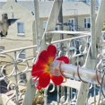 thumbnail image 2 of Decodeary Exquisite Flower Hummingbird Feeder With Feeder For Birds Bird Feeder For Bird Feeding Garden Red, 2 of 6