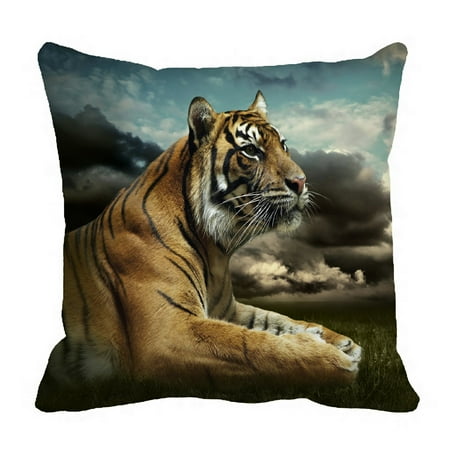 Auburn Tigers Throw Pillow - PHFZK Nature Wildlife Pillow Case, Animal Tiger under Dramatic Sky with Clouds Pillowcase Throw Pillow Cushion Cover Two Sides Size 18x18 inches