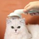 thumbnail image 4 of BRILLAR Cepillo para eliminar el pelo de mascotas: peine de masaje y limpieza con un solo clic para gatos y perros (azul), 4 of 4