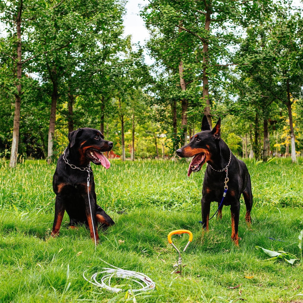 JZROCKER Pet Leashes Chain Leads Pet Dogs Chain Tractions Rope Leads Control Leashes for Media Large Dogs