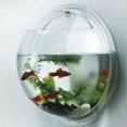 thumbnail image 3 of PENGXIANG Hydroponic Plant Vase Fish Tank Transparent Design  Plant Vase for Christmas & Birthday Gift  L, 3 of 7