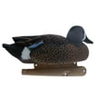 thumbnail image 6 of AVIAN-X Topflight Blue-Winged Teal Durable Ultra Realistic Floating Hunting Duck Decoys, Pack of 6, AVX8080, 6 of 9