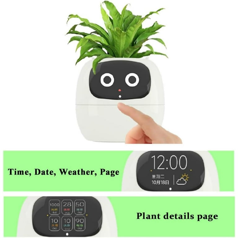 Plantagotchi Planter, AI Smart Plant Pot, Ai Planter Pot, Ivy