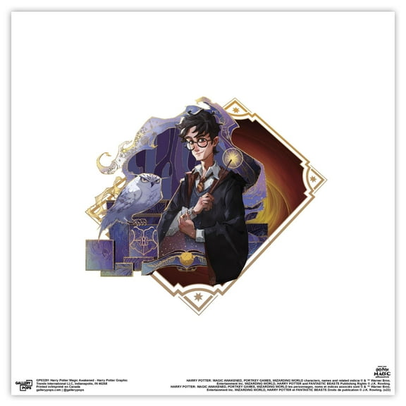 Gallery Pops Harry Potter Magic Awakened - Harry Potter Graphic Wall Art, Unframed Version, 12" x 12"
