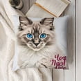 thumbnail image 3 of SHANXI Pillow Covers - Cat Lover Gifts for Women Cat Mom, Flannel Maine Coon Cat Throw Pillow Cases Cat Home Decor, Life is Better with a Cat 22x22in, 3 of 5