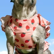 Oodles Summer Strawberries Dog Bikini, Pink, Small