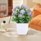 thumbnail image 5 of Maceta decorativa artificial para interiores, estilo moderno, resistente al fuego, fácil de llenar, ideal para el hogar, baño, cocina, oficina, escritorio, dormitorio y mucho más.,Wsvlmg, 5 of 8
