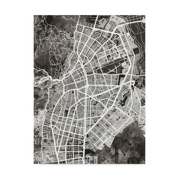 Trademark Fine Art 'Cali Colombia City Map Black' Canvas Art by Michael Tompsett