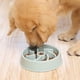 thumbnail image 3 of Cuenco lento para perros con alimentador, cuencos de alimentación más lentos para mascotas, antiinflación, 3 of 5