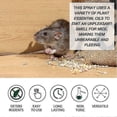 thumbnail image 4 of Mouse Repellent Peppermint Oil Spray Plant-based Formula Rodent Repellent 60ml, 4 of 5