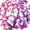 Pink Purple, variant on PETGLE 60Pcs 3D Butterfly Wall Decor, Decoration Party Birthday Cake Waterproof Removable Mural Sticker, Butterflies Wall Art Home Decals Living Room Bathroom Bedroom Office Decorative (Pink Purple)