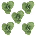 thumbnail image 1 of 5pcs Mini Farm Props Miniature Vegetable Model Simulation Tiny Greeny Vegetables, 1 of 4